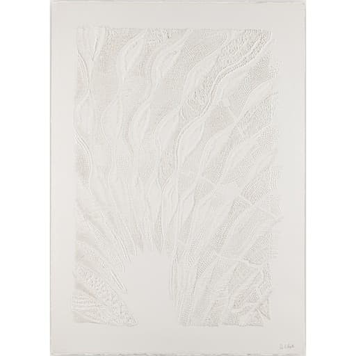 Image of Plumes de Paon