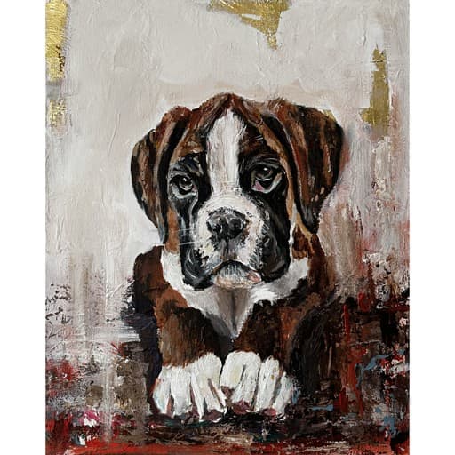 Image of Boxer Puppy